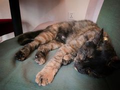 -EATALIA意塔利意式餐厅(鼓楼店)