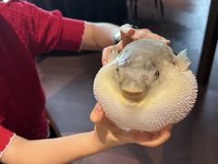 -肆月河豚·淮扬菜·湘菜(华天店)