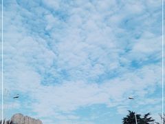 -索纳斯咖啡(海安路店)