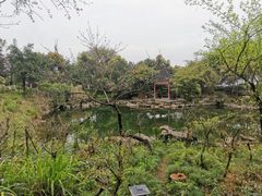-大渡口区义渡公园