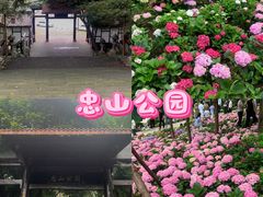 -忠山公园
