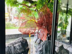 -院里寻菜·精致庭院菜(观沙岭店)