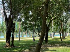 -三亚海棠湾万丽度假酒店