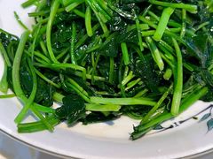 -魏铭鱼头捞饭(晋阳路店)