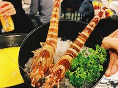 -鲜入围煮花胶鸡海鲜火锅