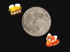 -巴山·烤全羊(高新总店)