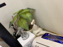 -MONICABOX美甲美睫