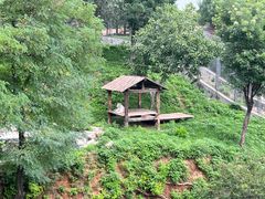 -石家庄市动物园