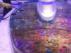 -澜悦港海鲜体验主题餐厅