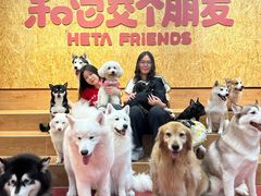 -和它·交个朋友·狗咖猫咖(爱琴海店)