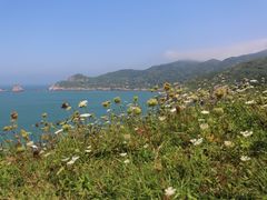 -枸杞岛