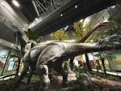 -湖南省地质博物馆