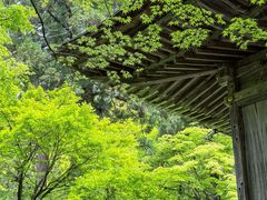 -三千院