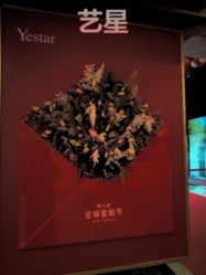 -Yestar杭州艺星医疗美容医院