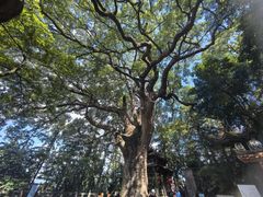 -安溪清水岩