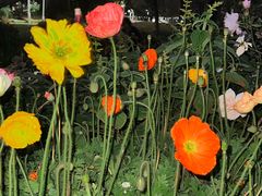 -人民公园(罗湖区)