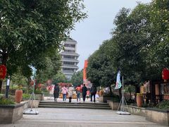 -铁山坪森林公园