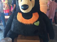 -济州岛泰迪熊博物馆