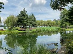 -金银湖国家城市湿地公园