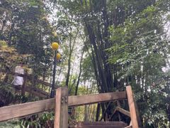 -花水湾红太阳牛肉汤锅