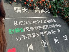 -艾溪湖湿地公园