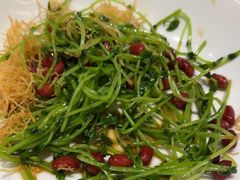 -青花椒花椒鱼(合生汇店)