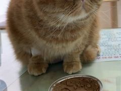 -百信宠物医院(东升街店)