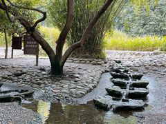 -成都市活水公园