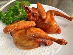 -鸽鸟轩(石岐店)