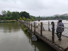 -枫香湖儿童公园