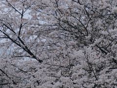 -杭州少年儿童公园