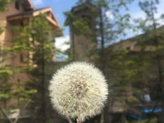 -汉拿山温泉度假酒店