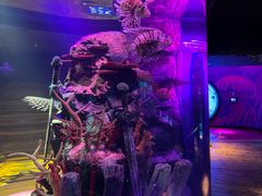 -沈阳海洋探索中心