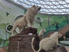 -陕西自然博物馆