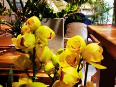-谷咖啡·鲜花绿植花园餐厅