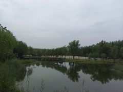 -东郊湿地公园