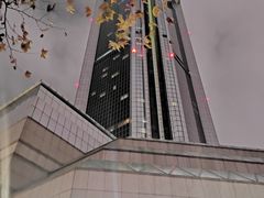 -上海新锦江大酒店