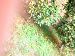 -张亮麻辣烫(上海阳城路店)