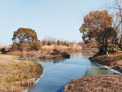 -西山漾湿地公园