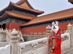 -韩国匠艺臻品摄影
