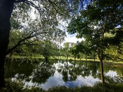 -上海共青森林公园