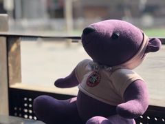-Cafe Alice咖啡爱丽丝(奥城店)