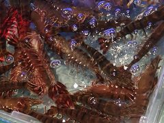-阿伟海鲜楼·福建菜(延寿店)
