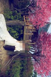 iphone_upload_pic-红丝高端婚礼中心(旗舰店)