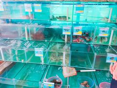 水产区-琼大师东方烤乳猪(亚特兰蒂斯店)