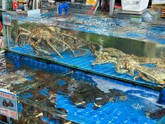 -鸿港海鲜批发市场