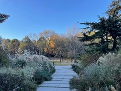 -北京植物园-展览温室