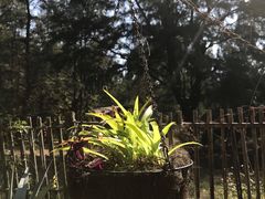 -北海金海湾红树林生态旅游区