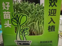 -海底捞火锅(名门店)