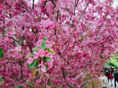 -元大都城垣遗址公园